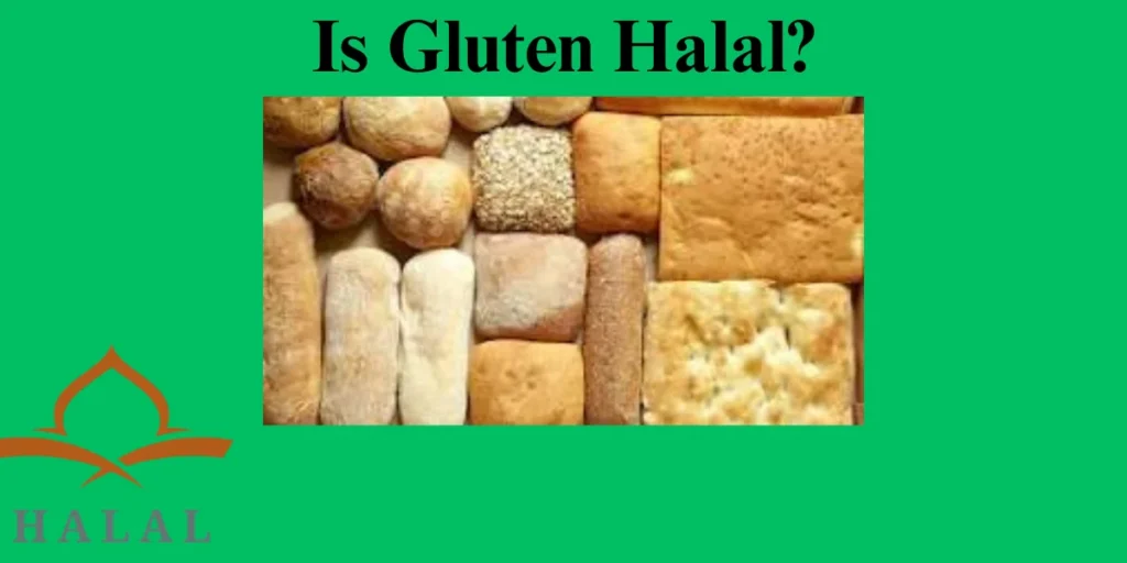 Is gluten halal in islam